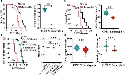 Salmonella enterica serovar Paratyphi A-induced immune response in Caenorhabditis elegans depends on MAPK pathways and DAF-16